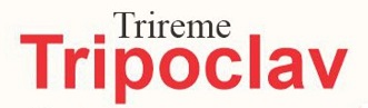 Tripoclav Device mark 6198311 Trademark