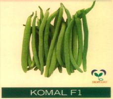 Komal F1 Device mark 6199304 Trademark