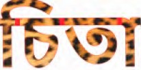 Cheeta Device mark 6206245 Trademark