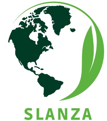 Slanza Device mark 6208002 Trademark