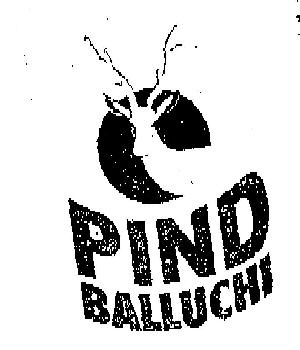 Pind Balluchi Device mark 6212894 Trademark