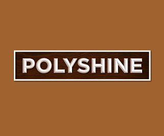 Polyshine Device mark 6212979 Trademark