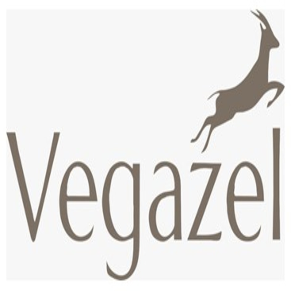 Vegazel Device mark 6213495 Trademark