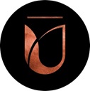 Shunyawellness Device mark 6233169 Trademark