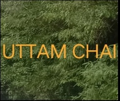 Uttam Chai Device mark 6233762 Trademark