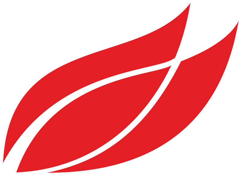 Device Mark Device mark 6235070 Trademark