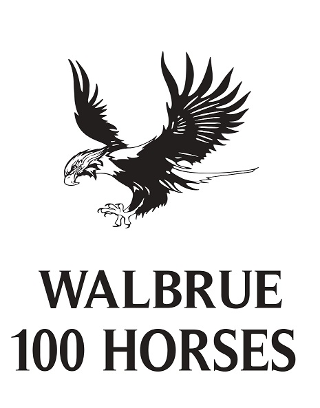 Walbrue 100 Horses Device mark 6246243 Trademark