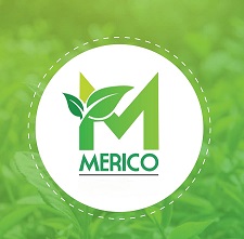 Merico Device mark 6240472 Trademark