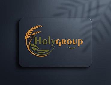 Holygroup Device mark 6242279 Trademark