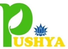 Pushya Device mark 6242580 Trademark