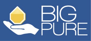 Big Pure Device mark 6241994 Trademark