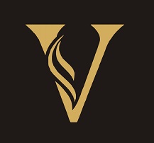 V (device) Device mark 6243579 Trademark