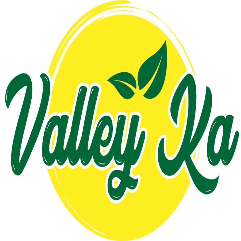 Valleyka Device mark 6244491 Trademark