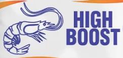High Boost (device Mark) Device mark 6251428 Trademark
