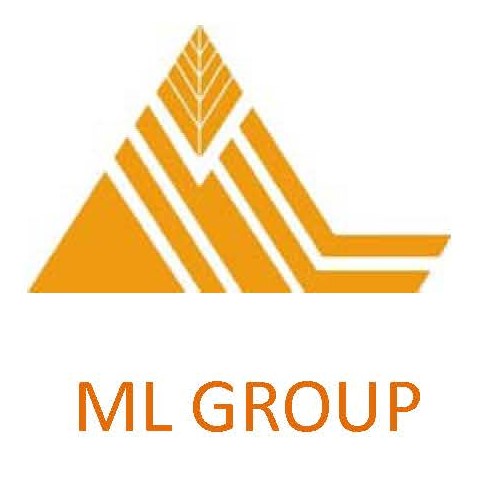 Ml Group Device mark 6253638 Trademark