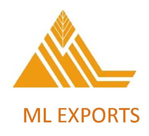 Ml Exports Device mark 6253655 Trademark