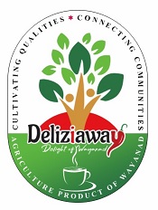 Deliziaway Device mark 6255923 Trademark