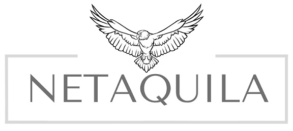 Netaquila Device mark 6258629 Trademark