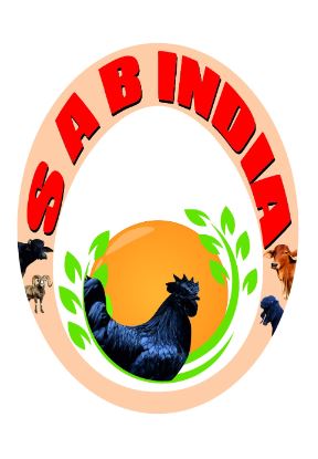 Sab India Device mark 6261872 Trademark
