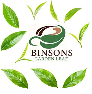 Binsons Garden Leaf (label) Device mark 6262520 Trademark