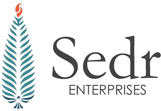 Sedr Enterprises Device mark 6263898 Trademark