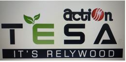 Action Tesa It’s Relywood Device mark 6265703 Trademark