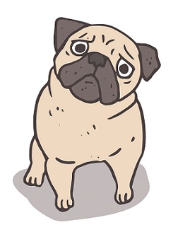 Animated Pug Device Device mark 6275401 Trademark