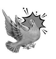 Pigeon (logo) Device mark 6279563 Trademark