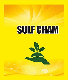 Sulf Cham Device mark 6286210 Trademark
