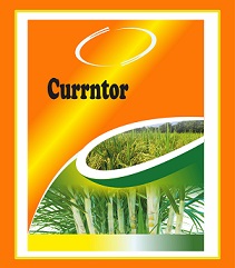 Currntor Device mark 6287512 Trademark