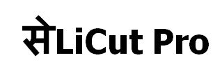 Se (in Hindi) Licut Pro Device mark 6290513 Trademark