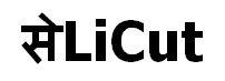 Se (in Hindi) Licut Device mark 6290515 Trademark