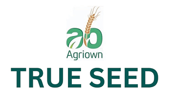 Agriown True Seed With Ao Device mark 6293228 Trademark