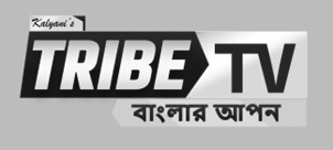 Device:tribe Tv Device mark 6298171 Trademark