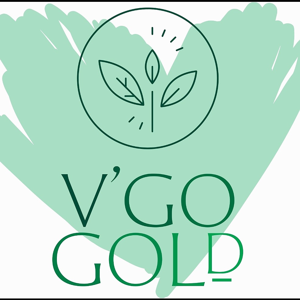 V'go Gold Device mark 6304414 Trademark