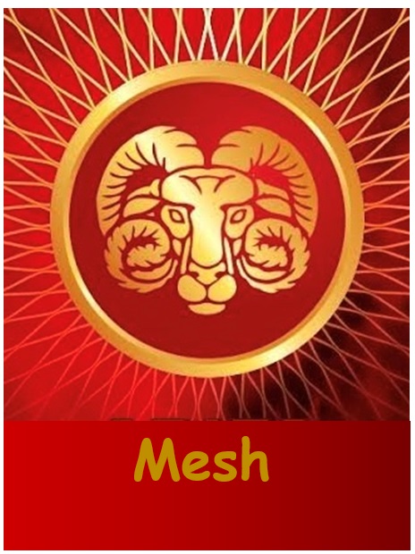 Mesh Device mark 6302513 Trademark