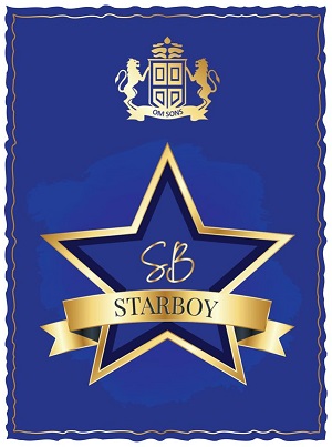 Sb Starboy Device mark 6311058 Trademark