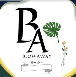 Blow Away Device mark 6308303 Trademark