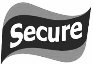 Secure Device mark 6309187 Trademark