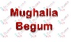 Mughalia Begum Device mark 6323295 Trademark