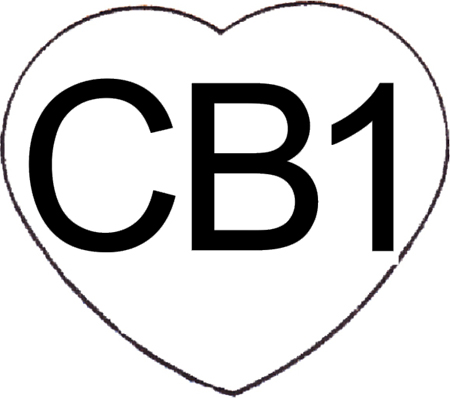 Cb1 Device mark 2985934 Trademark