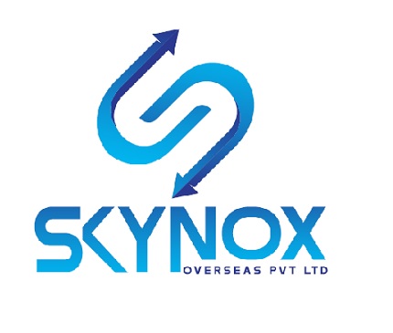 Skynox Logo Device mark 6335990 Trademark