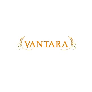 Vantara Device mark 6338325 Trademark