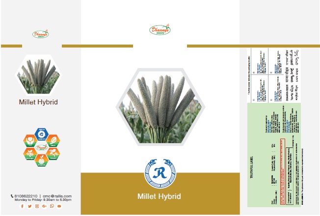 Dhaanya Seeds With Corporate Logo Rallis – Millet Hybrid Device mark 6339253 Trademark
