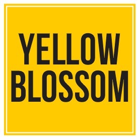 Yellow Blossom Device mark 6344299 Trademark