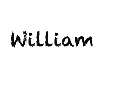 William Device mark 6351708 Trademark