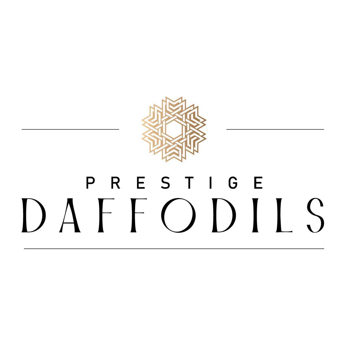 Prestige Daffodils Device mark 6368170 Trademark