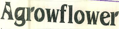 Agrowflower Device mark 2965459 Trademark