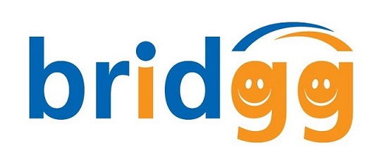 Bridgg (device) Device mark 6381633 Trademark