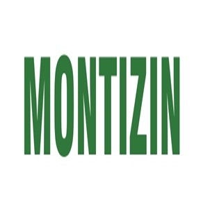 Montizin Device mark 6382655 Trademark